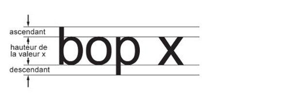 La hauteur du x minuscule est appelée hauteur de la valeur x. La partie de la lettre minuscule b qui est plus haute que la hauteur de la valeur x est appelée ascendant. La partie de la lettre minuscule p qui est plus basse que la hauteur de la valeur x est appelée descendant.